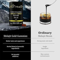 60 Count Pure Himalayan Shilajit Gummies Gold | Lab Tested Shilajit Gummies for Men & Women
